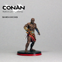 shevatas copia.png